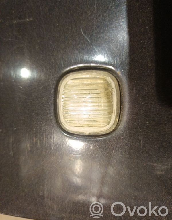 Seitenblinker