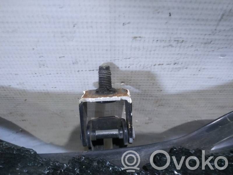 Tailgate/trunk/boot hinge