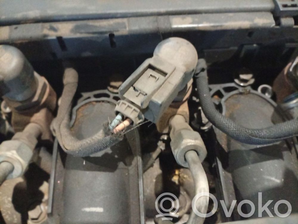 Citroen C4 I Picasso Iniettore
