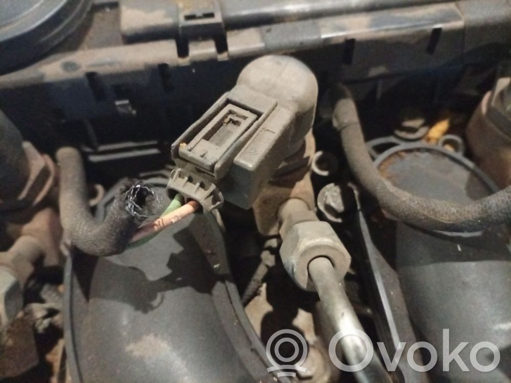 Citroen C4 I Picasso Iniettore