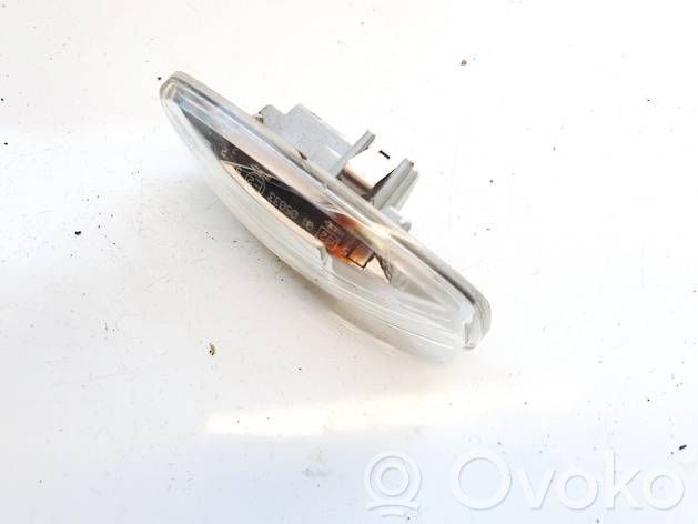Citroen C4 I Picasso Seitenblinker 