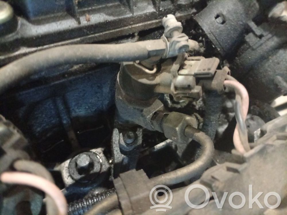 Peugeot 406 Injector combustibil 