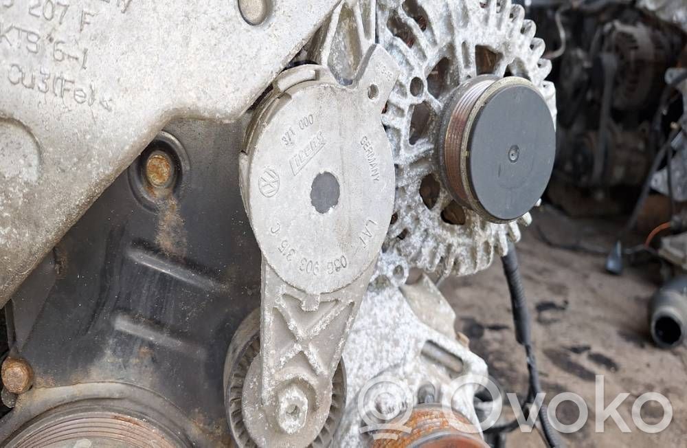Volkswagen PASSAT B6 Întinzător curea generator/alternator 