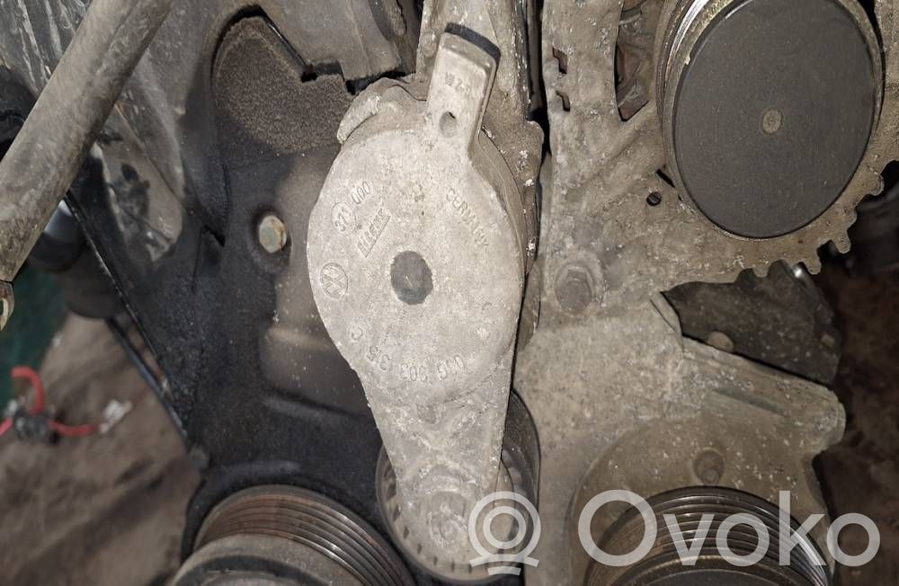 Volkswagen Jetta V Tendicinghia generatore/alternatore