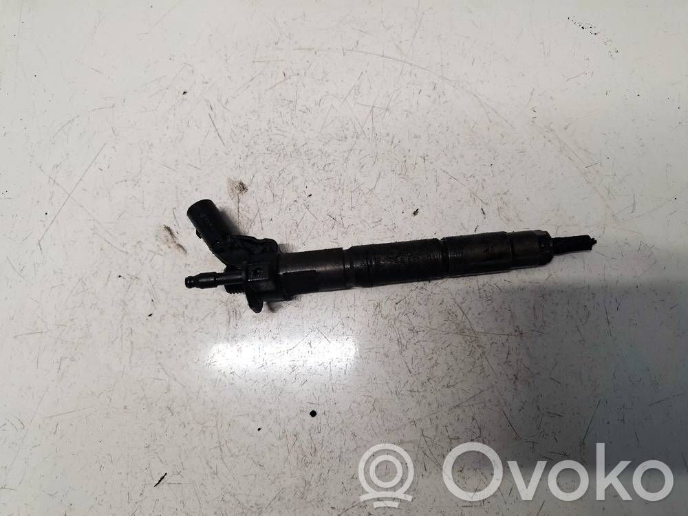 Jeep Grand Cherokee (WK) Injector combustibil