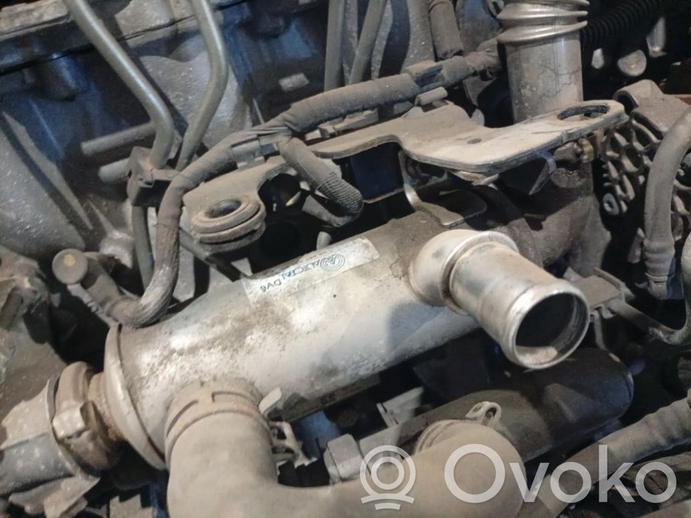 Citroen Berlingo Valvola di raffreddamento EGR