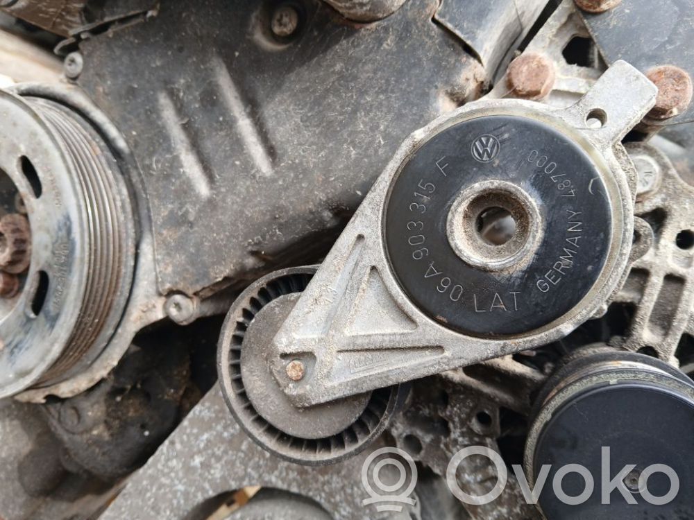 Skoda Octavia Mk2 (1Z) Întinzător curea generator/alternator 