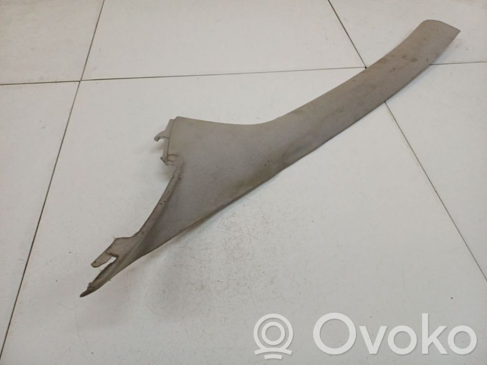 Renault Laguna III Rivestimento montante (C) 