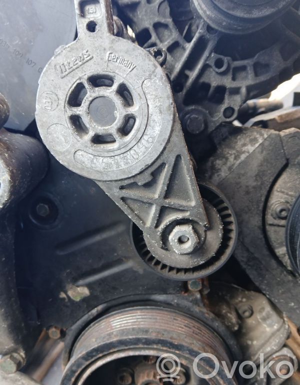 Volkswagen Jetta V Tendicinghia generatore/alternatore 
