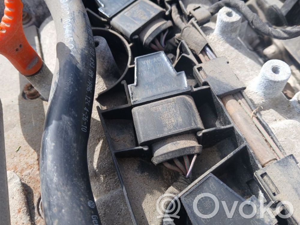 Skoda Octavia Mk2 (1Z) Bobina di accensione ad alta tensione