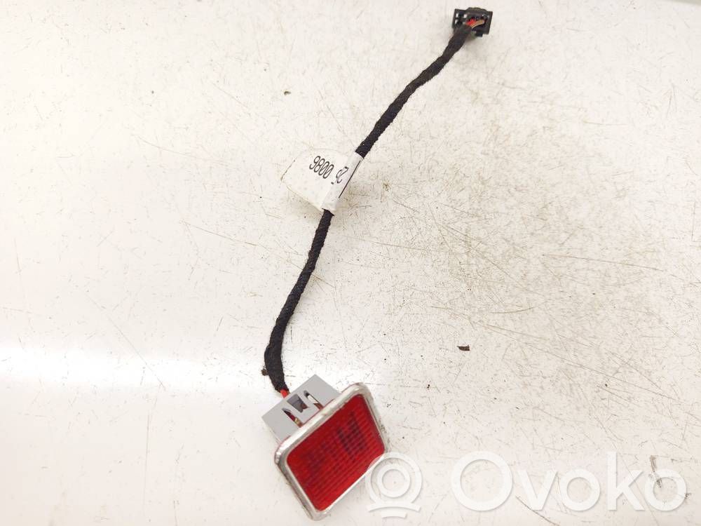 Volkswagen Phaeton Luce interna per portiera posteriore 