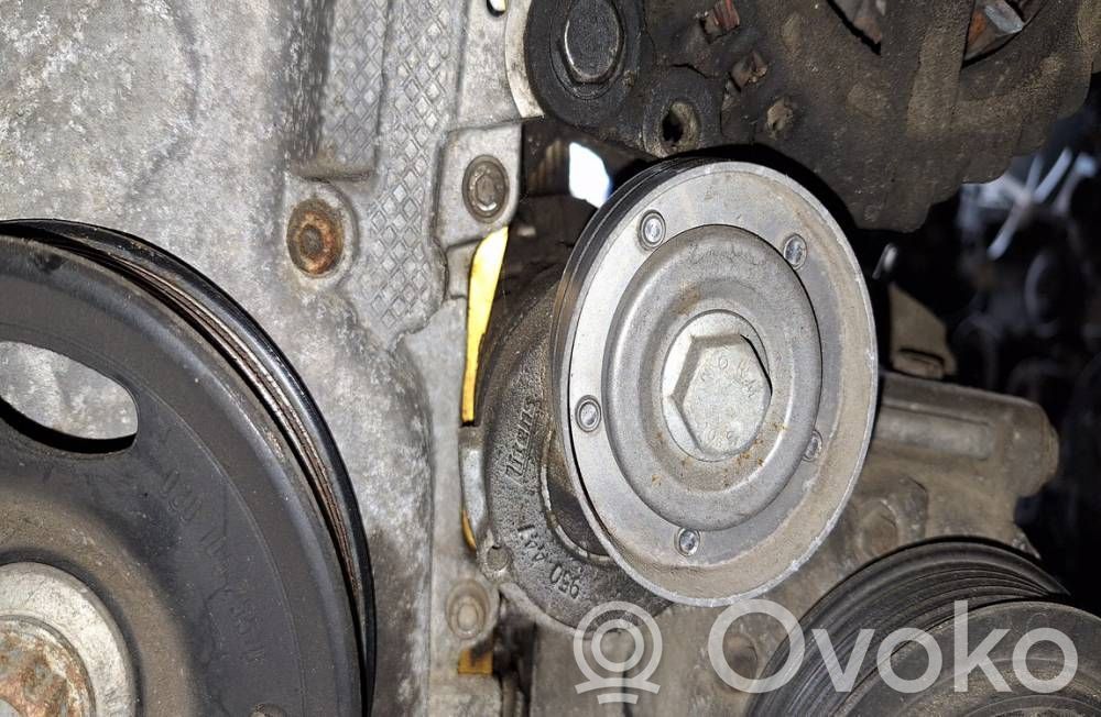 Skoda Octavia Mk2 (1Z) Întinzător curea generator/alternator 