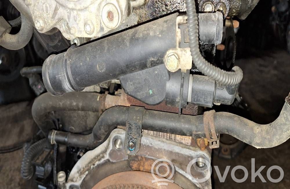 Audi A3 S3 8P Conductă/furtun lichid de răcire motor 