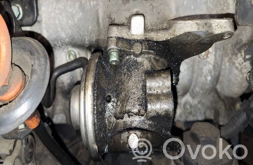 Válvula EGR   038129637D,038129637D
