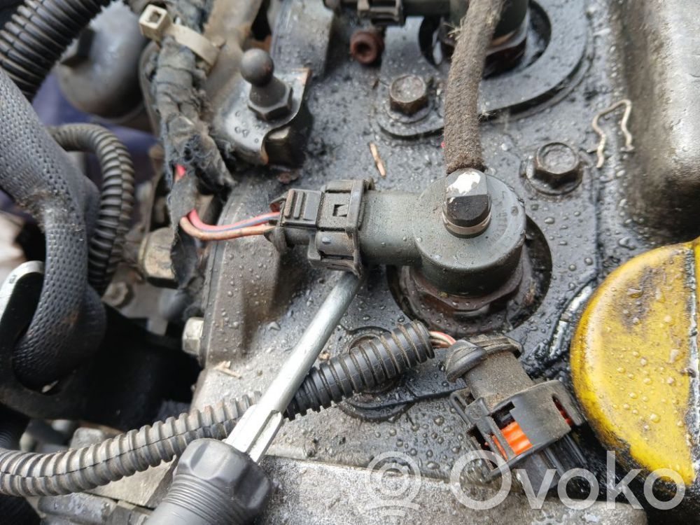 Injector combustibil   0445110174,0445110174,0445110174