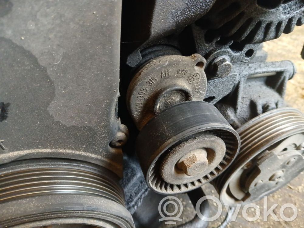 Skoda Roomster (5J) Întinzător curea generator/alternator