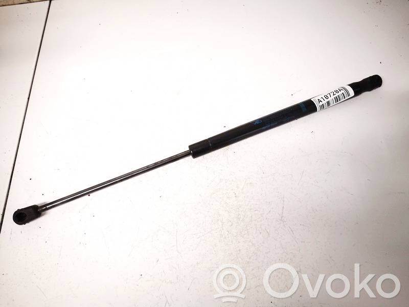 Tailgate/trunk strut/damper   9641721980,9641721980