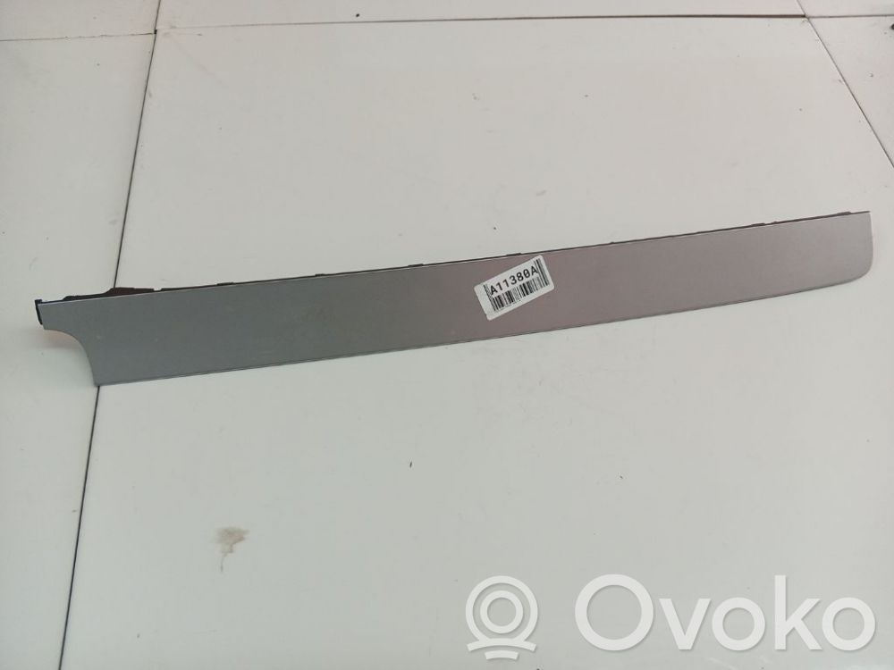 Volkswagen PASSAT B6 Rivestimento del pannello 