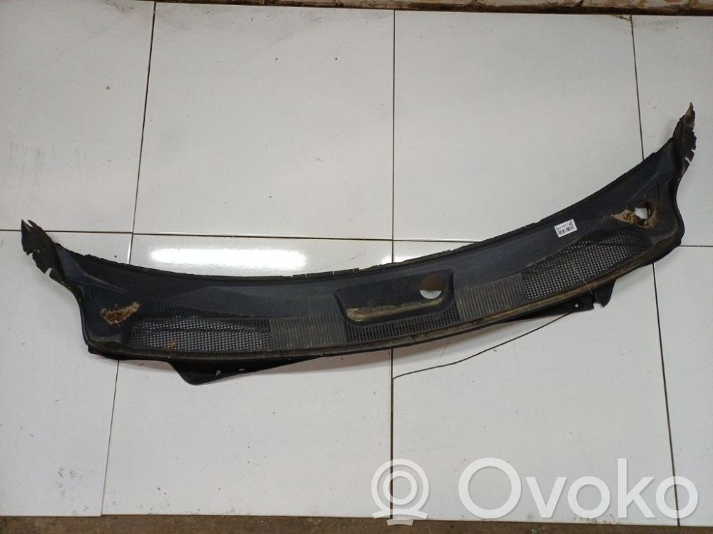 Moldura del limpia