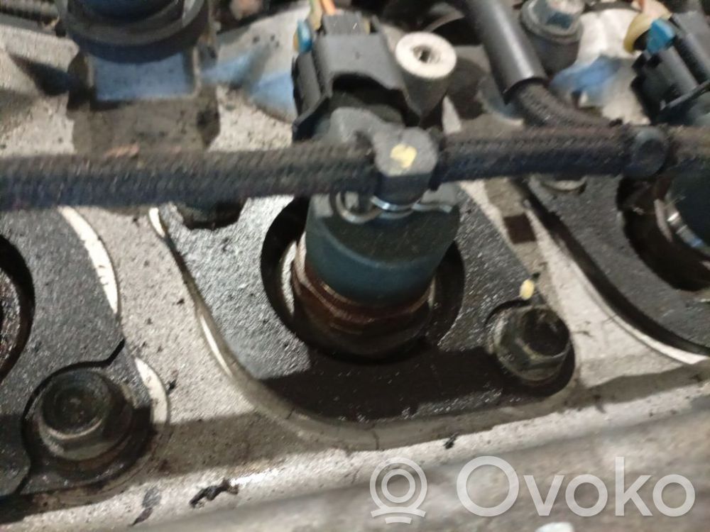 Injector combustibil   0445110175,0445110175,0445110175