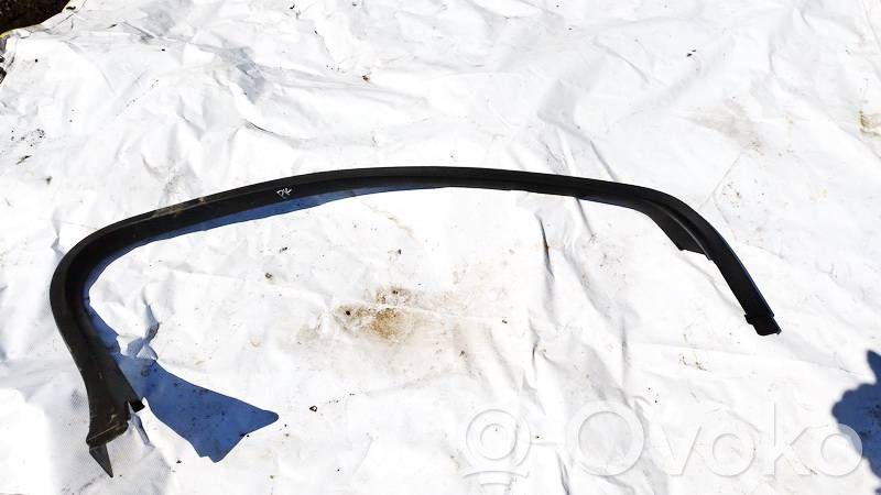 Citroen C5 Rivestimento modanatura del vetro della portiera anteriore