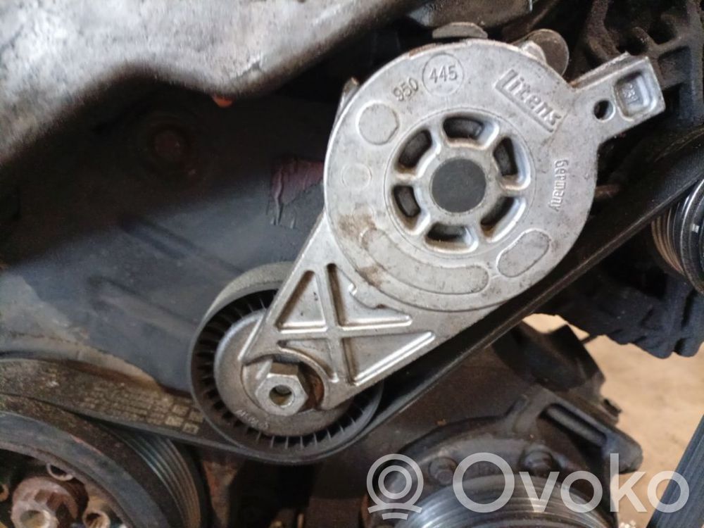Volkswagen PASSAT B6 Tendicinghia generatore/alternatore 