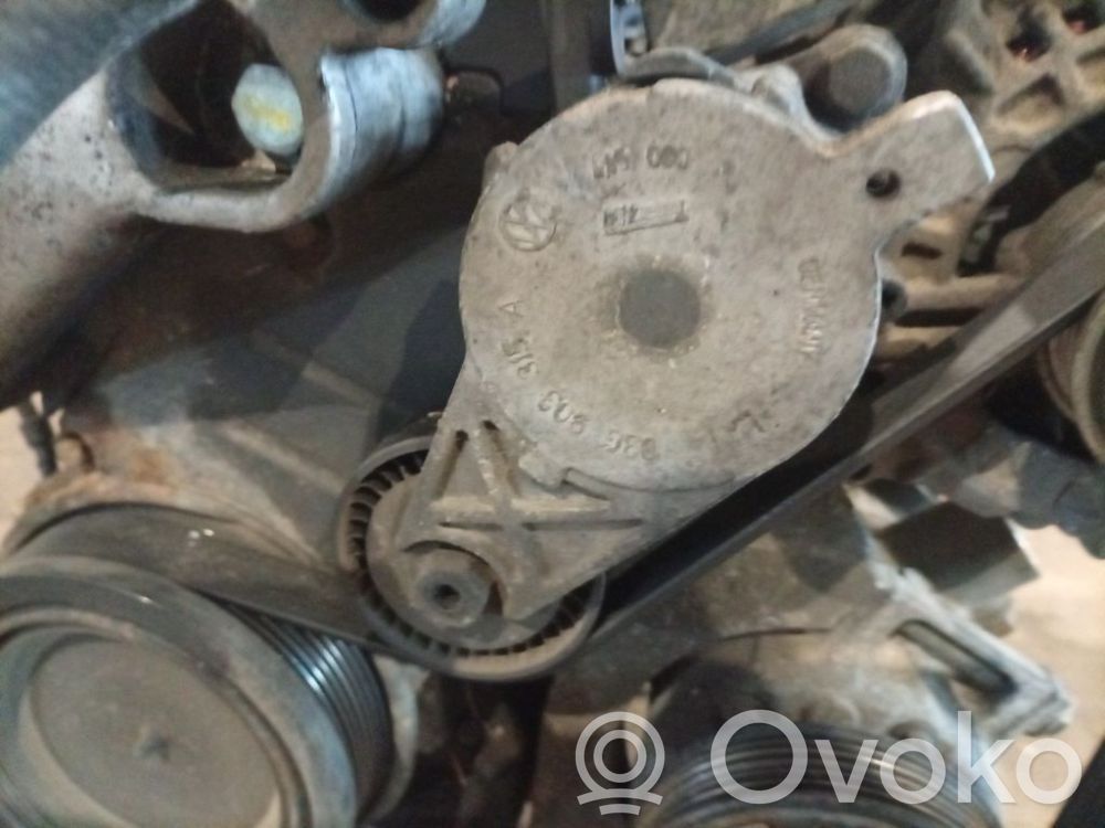 Skoda Octavia Mk2 (1Z) Întinzător curea generator/alternator 
