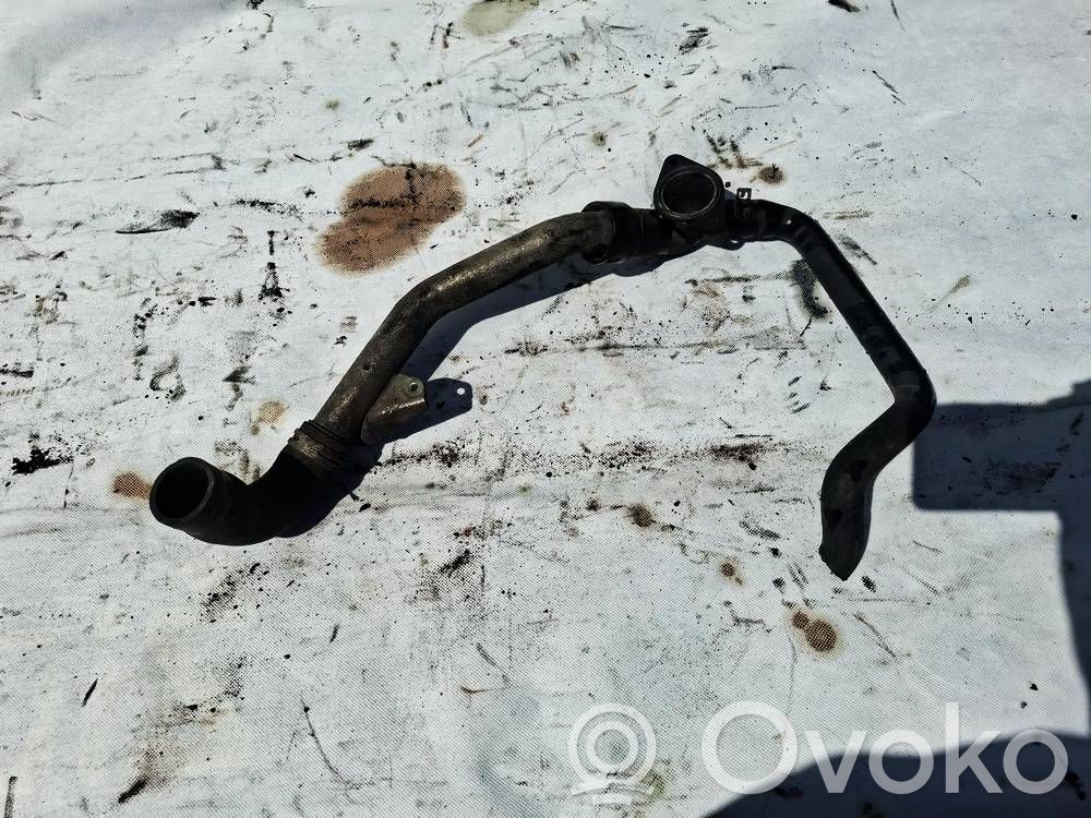 Ford Focus Przewód / Wąż chłodnicy 