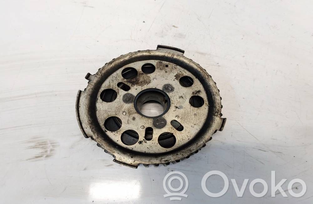 Volkswagen PASSAT B6 Folie axă cu came/ VANOS 