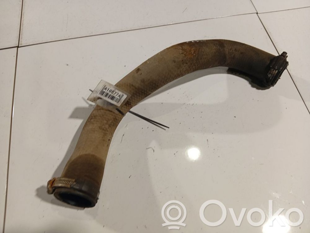 Ford Transit Furtun/conductă intercooler 