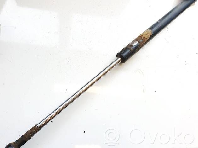 Tailgate/trunk strut/damper