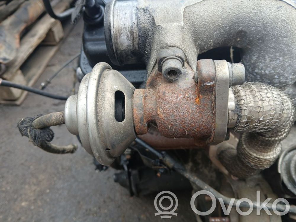 Valvola EGR   028131501E,028131501E,028131501E