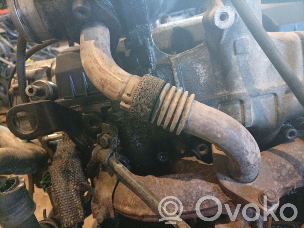 Ford Galaxy Conductă/furtun supapă EGR