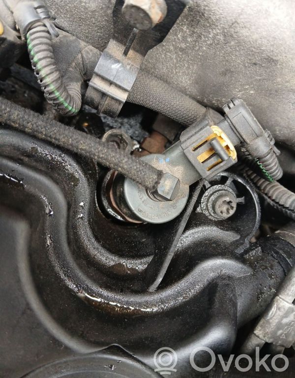Inyector de combustible   0445110165,0445110165,0445110165