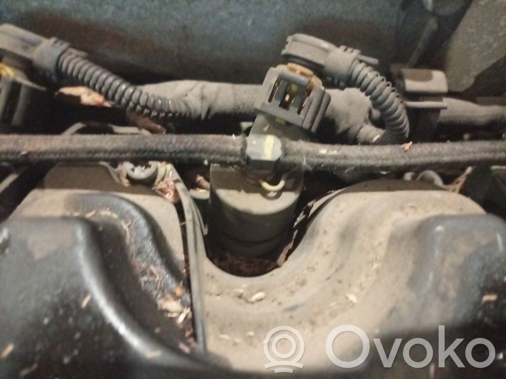 Inyector de combustible   0445110165,0445110165,0445110165
