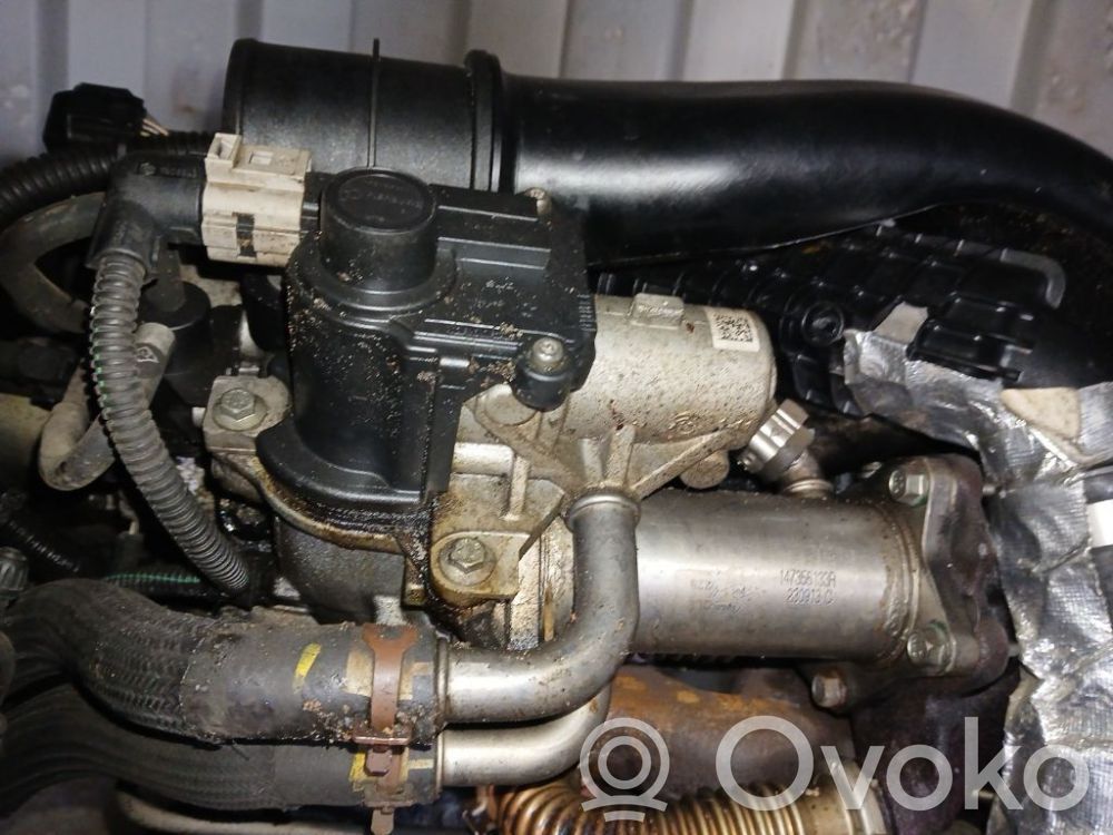 Dacia Sandero Válvula EGR
