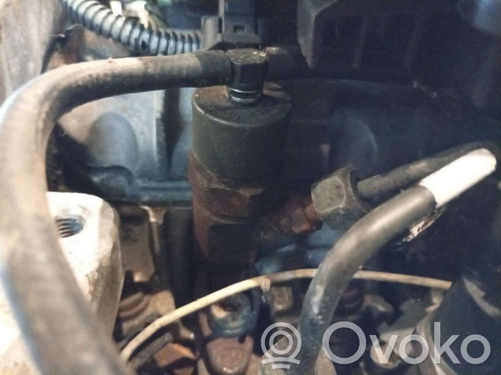 Injector combustibil   0445110110,0445110110,0445110110