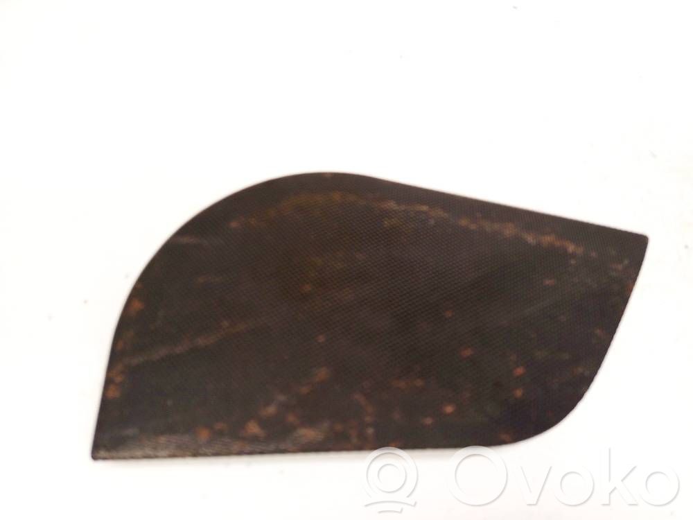Moldura protectora del altavoz lateral   100770900A,100770900A