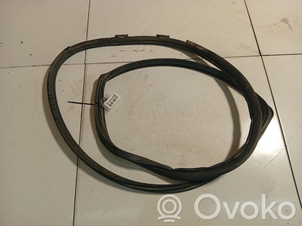 Pontiac Vibe Cheder cauciuc ușă spate 