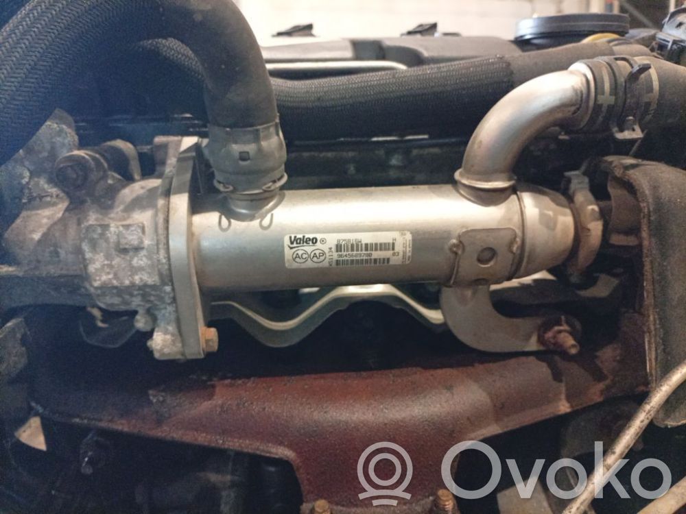 Citroen C4 Grand Picasso Valvola di raffreddamento EGR