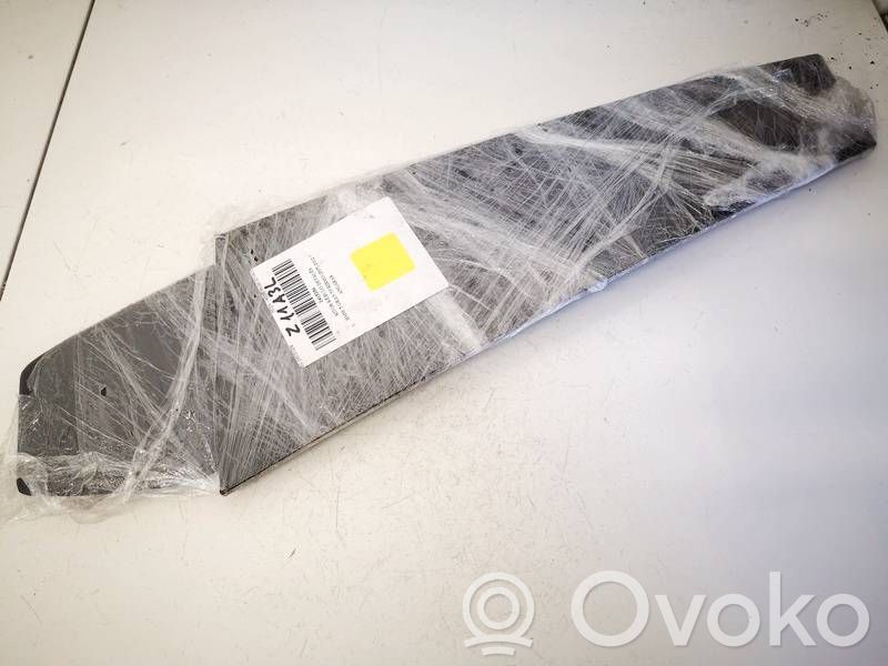 BMW 5 F10 F11 Alte componente panou ușă spate