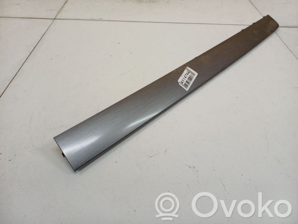 Volkswagen PASSAT B7 Ornament bord 