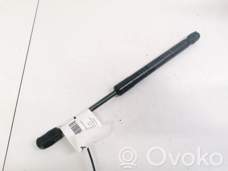BMW 5 F10 F11 Ammortizzatore portellone anteriore/cofano