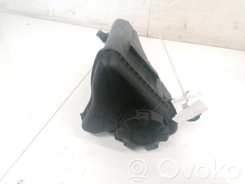 BMW 5 F10 F11 Vas expansiune/rezervor lichid de răcire