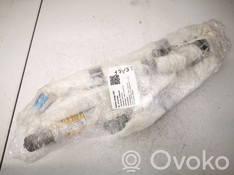 Ford Focus Airbag cortină
