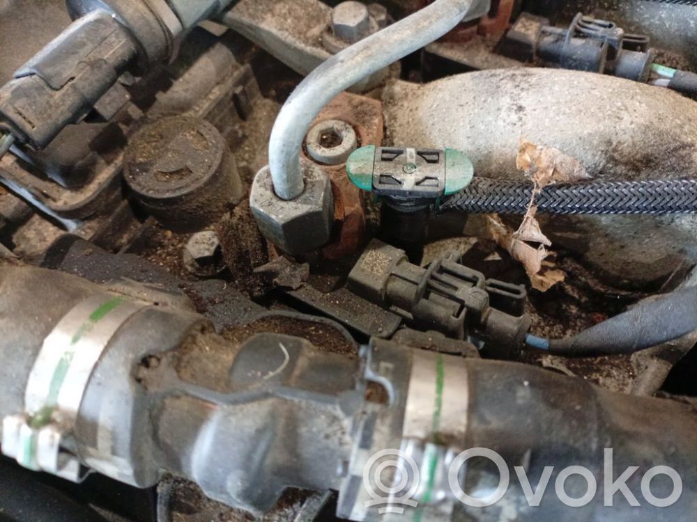 Injecteur de carburant   9659228880,9659228880,9659228880