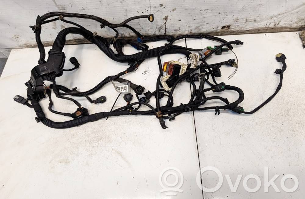 Otros cableados   V762063480,V762063480