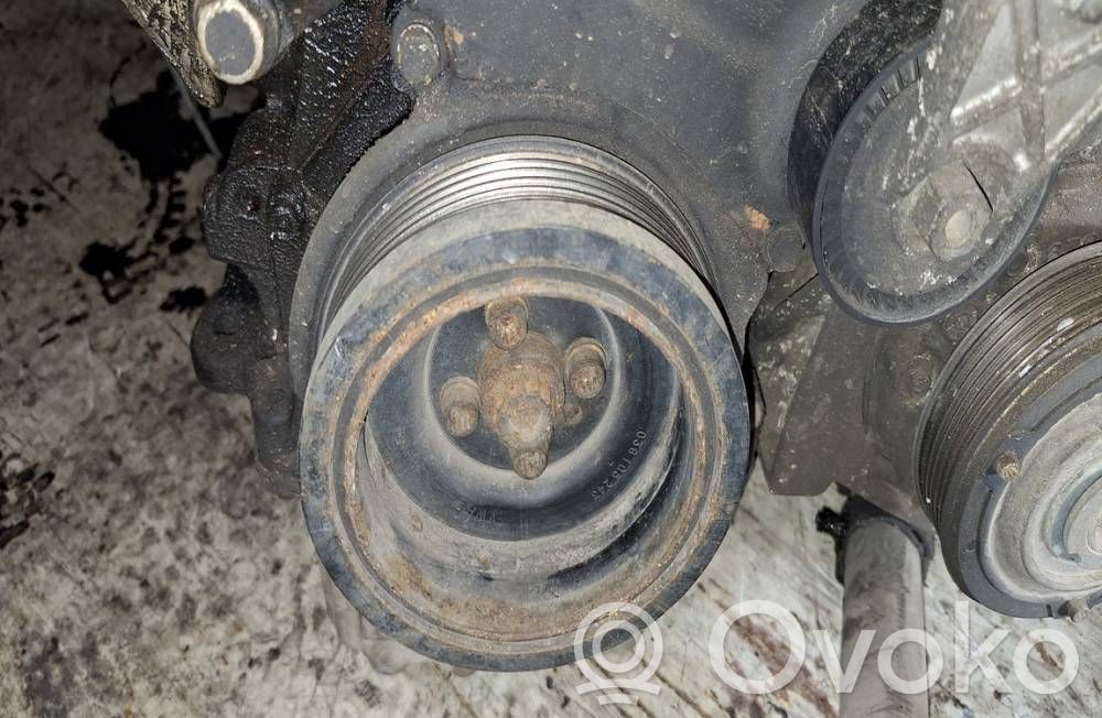 Volkswagen PASSAT B6 Koło pasowe wału korbowego 