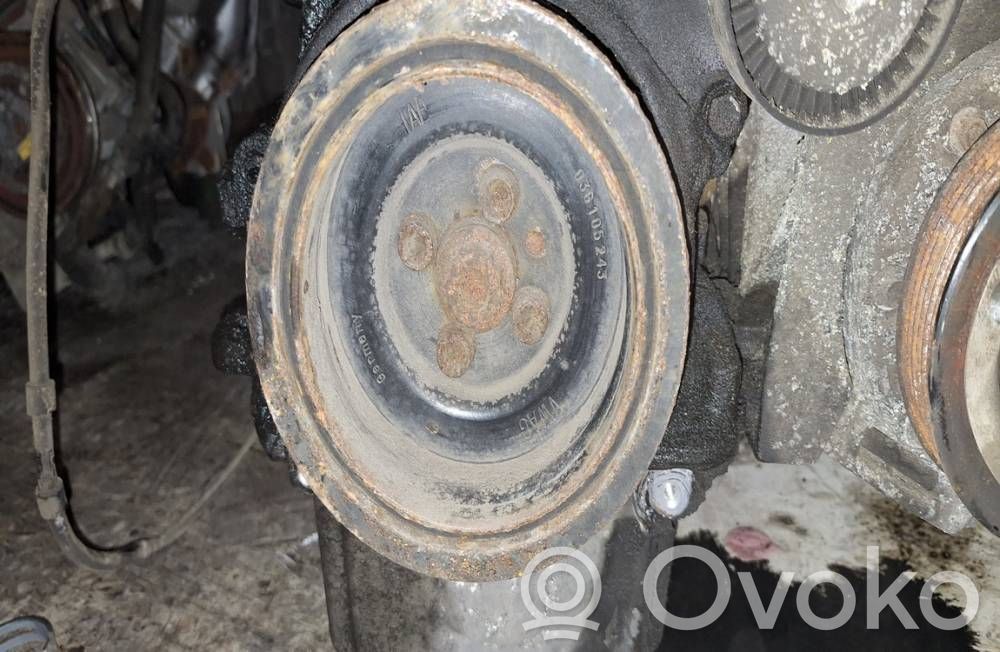 Skoda Octavia Mk2 (1Z) Koło pasowe wału korbowego 