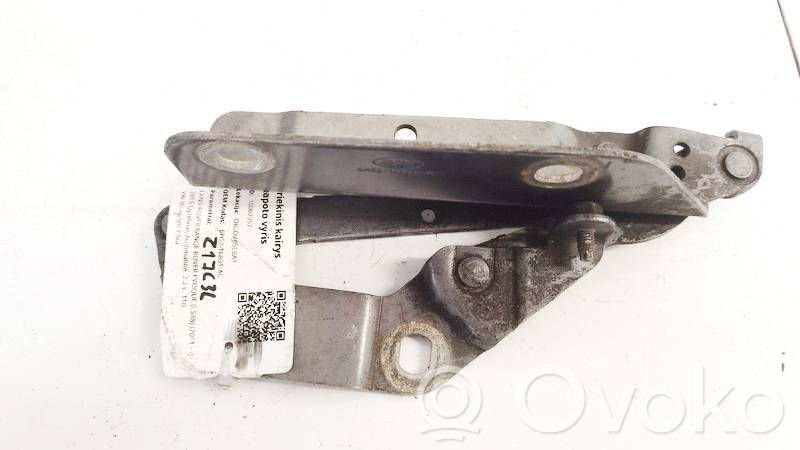 Land Rover Freelander 2 - LR2 Zawiasy pokrywy / maski silnika 